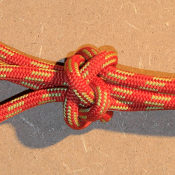 Fiador knot