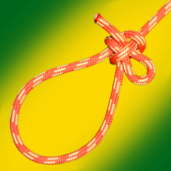Kalmyk loop
