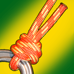 Scaffold knot